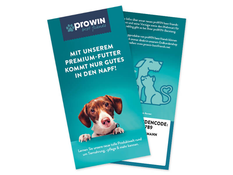proWIN Premium Flyer Best Friends